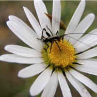reservation horizon millau